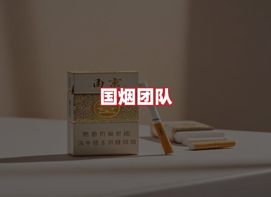 国烟团队